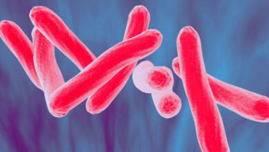 A new boost to anti-TB crusade 